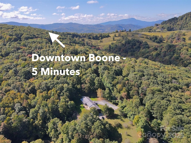 298 Patricelli St, Boone, NC 28607 - photo 7
