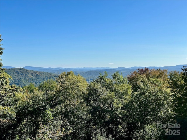 298 Patricelli St, Boone, NC 28607 - photo 39