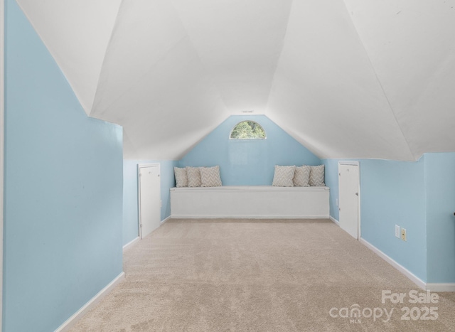 12214 Provincetowne Dr, Charlotte, NC 28277 - photo 39