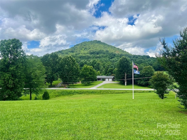 5939 NC-16 Hwy N, Taylorsville, NC 28681 - photo 4