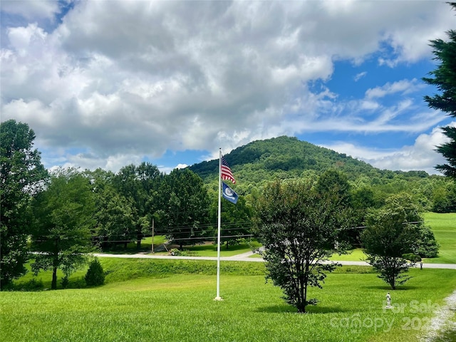 5939 NC-16 Hwy N, Taylorsville, NC 28681 - photo 6