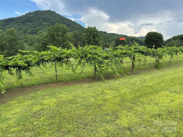 5939 NC-16 Hwy N, Taylorsville, NC 28681 - photo 13