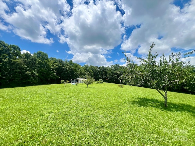 5939 NC-16 Hwy N, Taylorsville, NC 28681 - photo 44