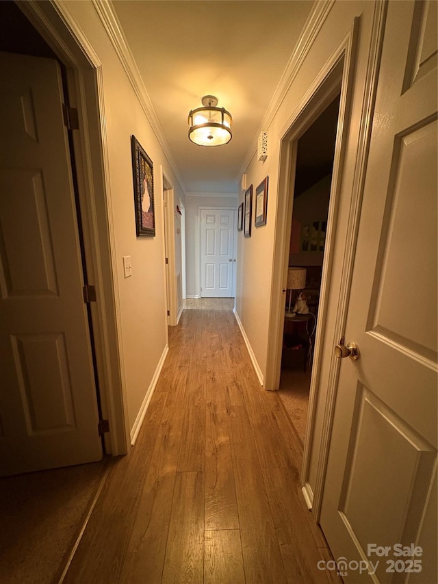 2570 Lipe Rd, China Grove, NC 28023 - photo 19