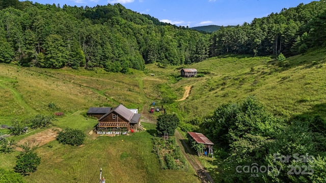 799 Fire Scald Rd, Green Mountain, NC 28740 - photo 3