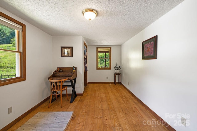 799 Fire Scald Rd, Green Mountain, NC 28740 - photo 21