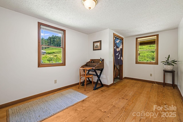 799 Fire Scald Rd, Green Mountain, NC 28740 - photo 24