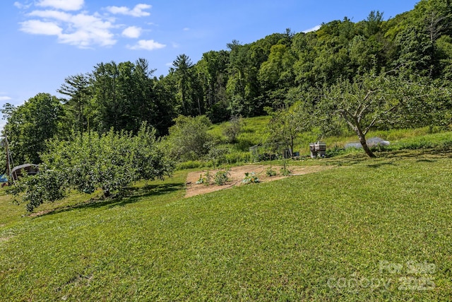 799 Fire Scald Rd, Green Mountain, NC 28740 - photo 34