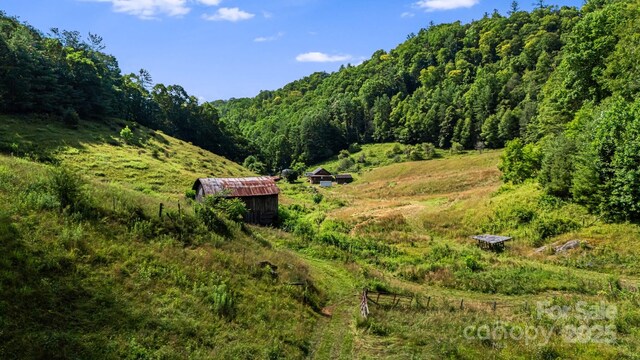799 Fire Scald Rd, Green Mountain, NC 28740 - photo 41