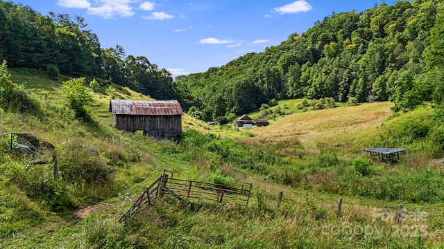 799 Fire Scald Rd, Green Mountain, NC 28740 - photo 42