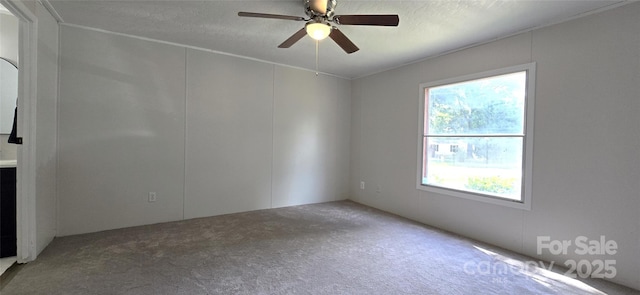 668 Osteen Rd, York, SC 29745 - photo 17