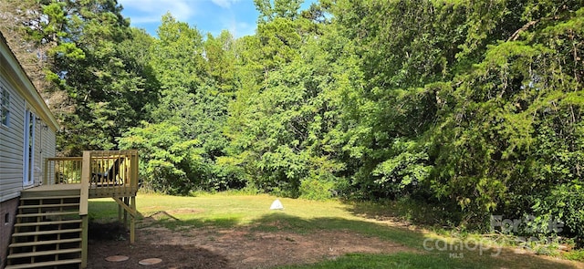 668 Osteen Rd, York, SC 29745 - photo 25