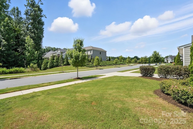 10474 Black Locust Ln, Harrisburg, NC 28215 - photo 4