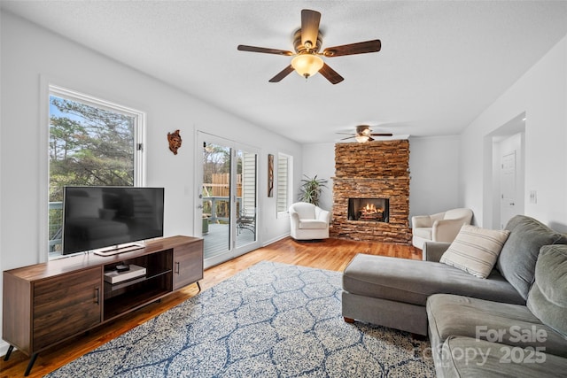 31 Bridle Path Dr, Barnardsville, NC 28709 - photo 7