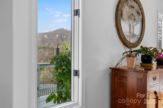 31 Bridle Path Dr, Barnardsville, NC 28709 - photo 14