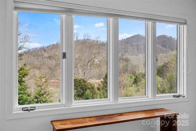 31 Bridle Path Dr, Barnardsville, NC 28709 - photo 23