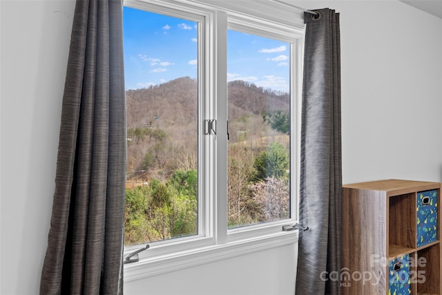 31 Bridle Path Dr, Barnardsville, NC 28709 - photo 38