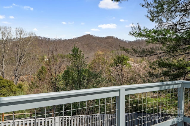 31 Bridle Path Dr, Barnardsville, NC 28709 - photo 41