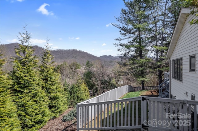 31 Bridle Path Dr, Barnardsville, NC 28709 - photo 43