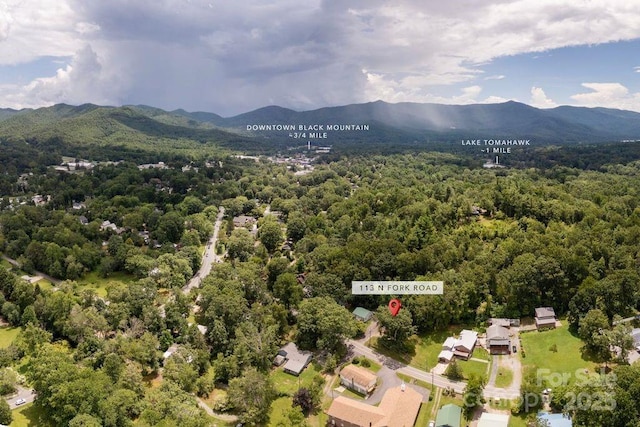 113 N Fork Rd, Black Mountain, NC 28711 - photo 3