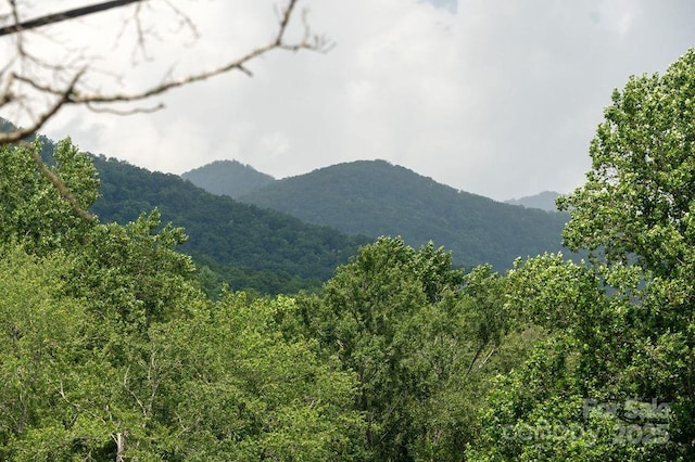 113 N Fork Rd, Black Mountain, NC 28711 - photo 4