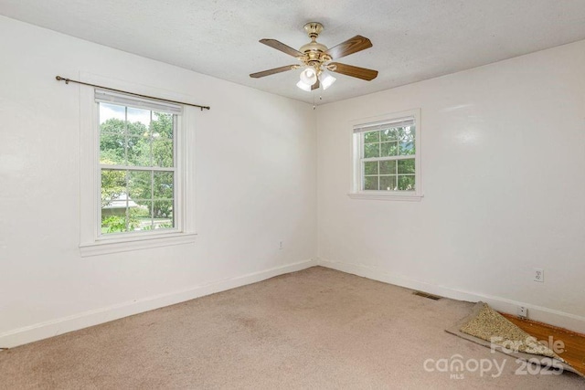 113 N Fork Rd, Black Mountain, NC 28711 - photo 9