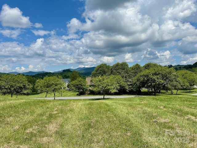 TBD Olde Charter Cir, Jefferson, NC 28640 - photo 4