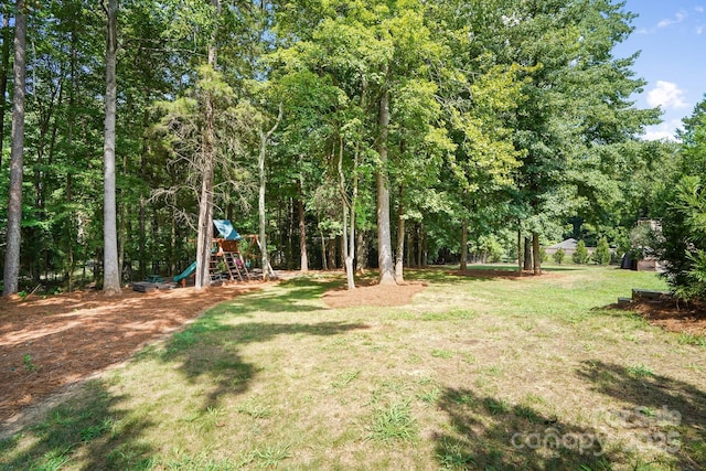 15035 Davis Trace Dr, Mint Hill, NC 28227 - photo 44