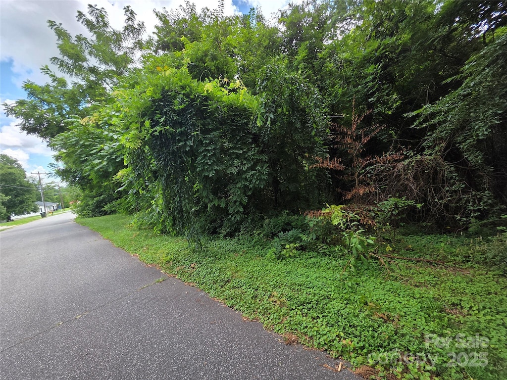 184 Hayes Ave, Hudson, NC 28638 - photo 3