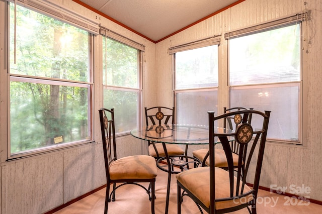 109 Mockingbird Cir, Asheville, NC 28806 - photo 14