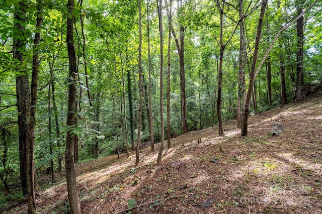 109 Mockingbird Cir, Asheville, NC 28806 - photo 22