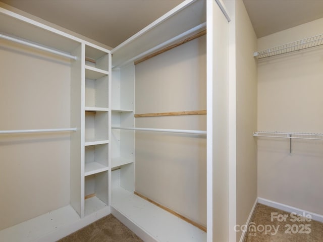3306 Ringtail Ln, Charlotte, NC 28216 - photo 25