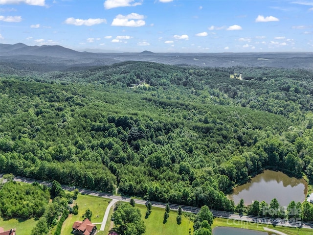 0000 Bills Creek Rd, Lake Lure, NC 28746 - photo 1