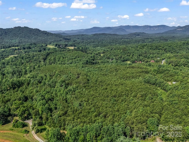0000 Bills Creek Rd, Lake Lure, NC 28746 - photo 4