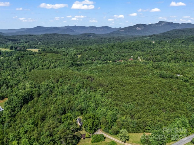 0000 Bills Creek Rd, Lake Lure, NC 28746 - photo 6