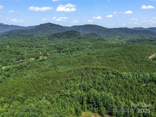 0000 Bills Creek Rd, Lake Lure, NC 28746 - photo 7