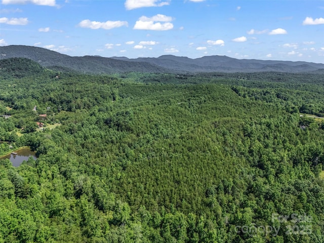 0000 Bills Creek Rd, Lake Lure, NC 28746 - photo 8