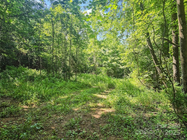 0000 Bills Creek Rd, Lake Lure, NC 28746 - photo 10