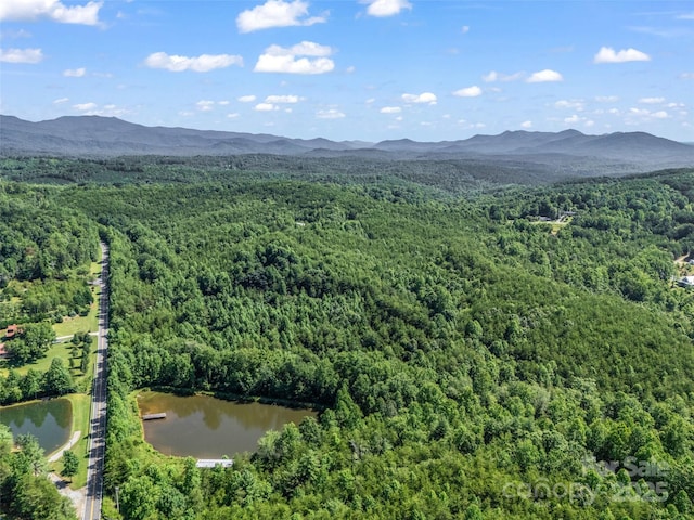 0000 Bills Creek Rd, Lake Lure, NC 28746 - photo 12