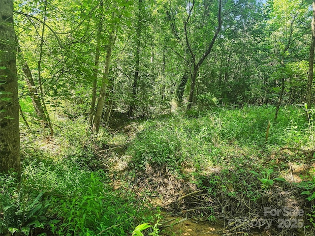 0000 Bills Creek Rd, Lake Lure, NC 28746 - photo 13