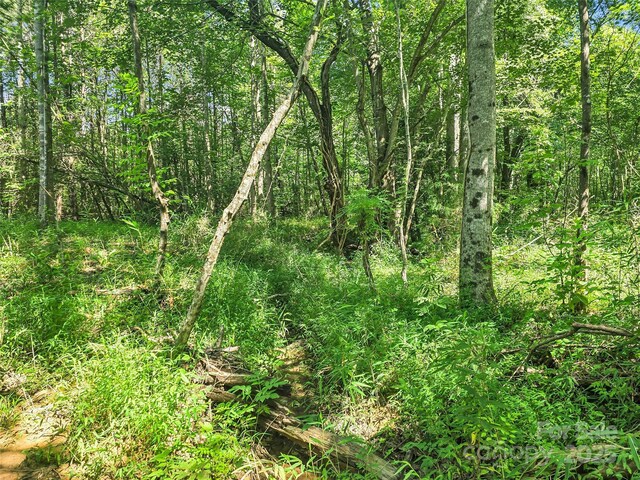 0000 Bills Creek Rd, Lake Lure, NC 28746 - photo 14