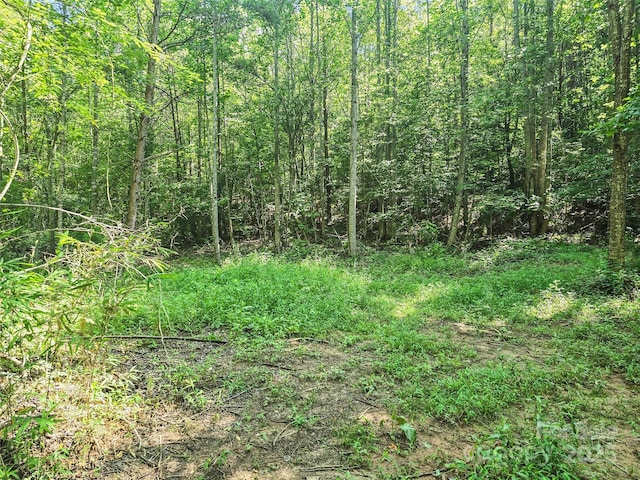 0000 Bills Creek Rd, Lake Lure, NC 28746 - photo 15