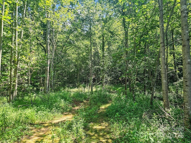 0000 Bills Creek Rd, Lake Lure, NC 28746 - photo 16