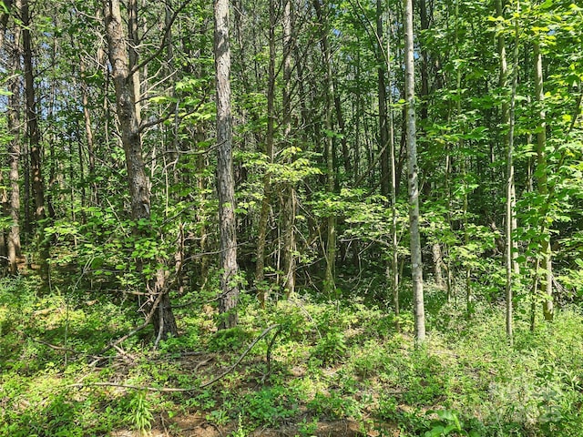 0000 Bills Creek Rd, Lake Lure, NC 28746 - photo 17