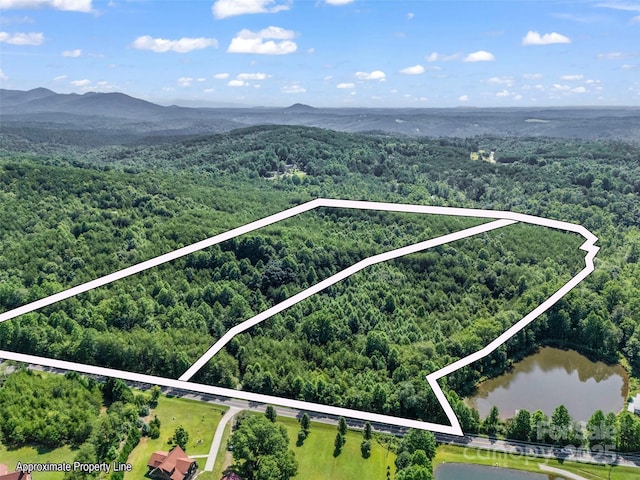 0000 Bills Creek Rd, Lake Lure, NC 28746 - photo 19