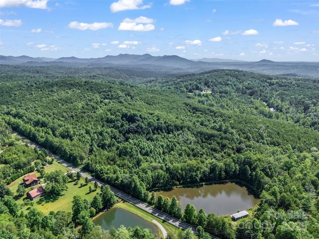 0000 Bills Creek Rd, Lake Lure, NC 28746 - photo 21