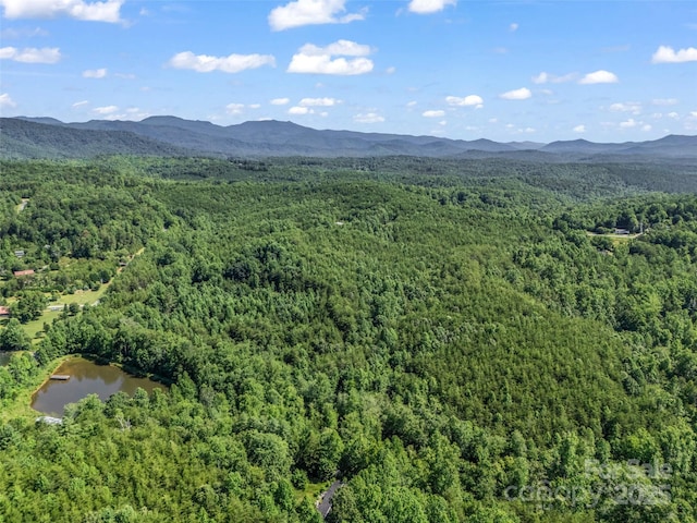 0000 Bills Creek Rd, Lake Lure, NC 28746 - photo 23