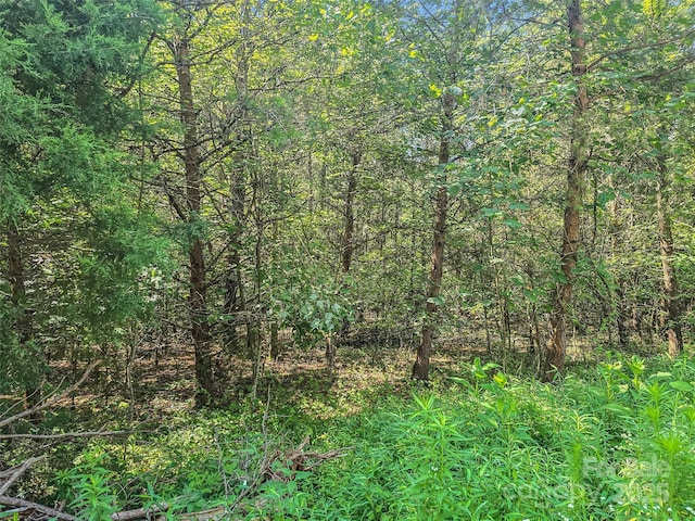 0000 Bills Creek Rd, Lake Lure, NC 28746 - photo 24