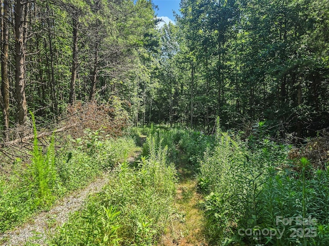 0000 Bills Creek Rd, Lake Lure, NC 28746 - photo 25