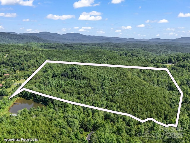 0000 Bills Creek Rd, Lake Lure, NC 28746 - photo 26